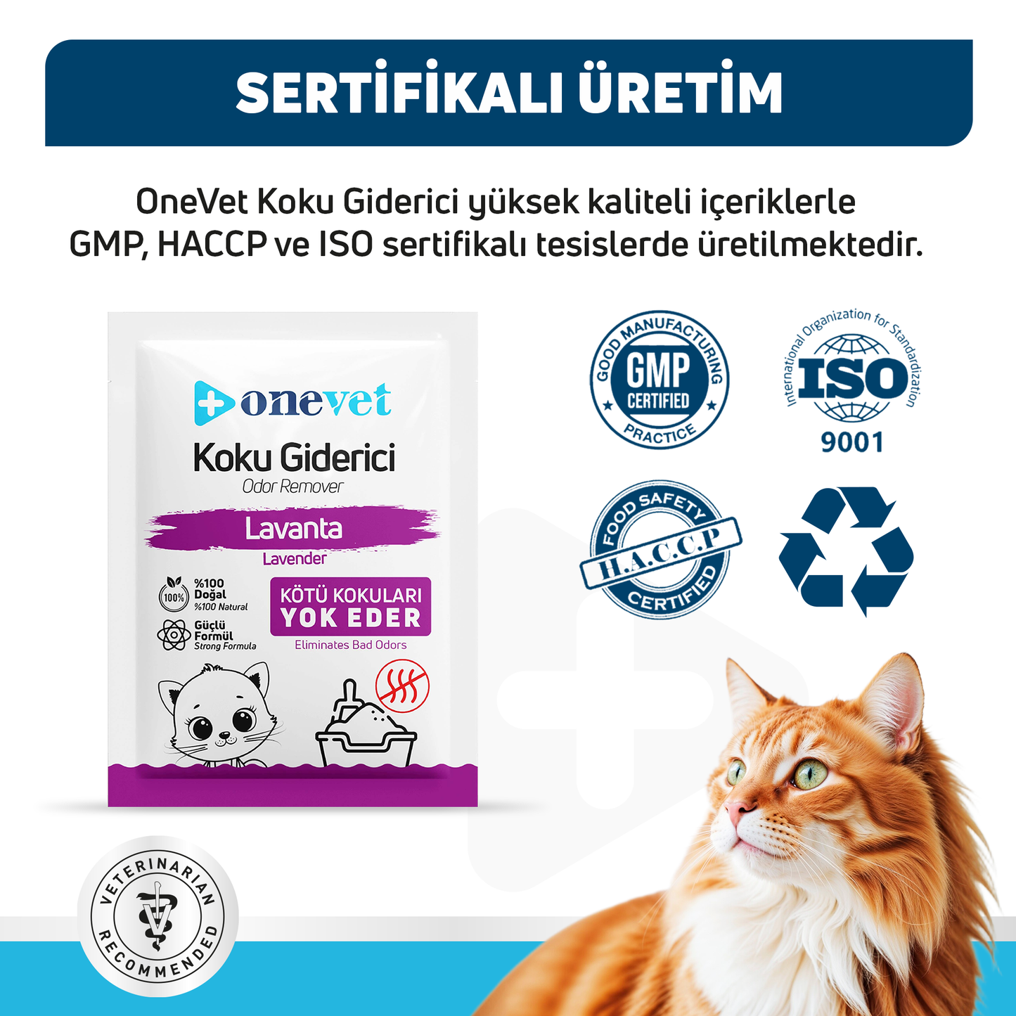 OneVet Kedi Kumu Koku Giderici Saşe