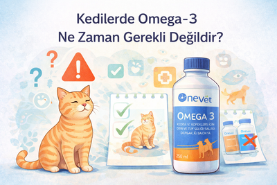 Kedilerde Omega-3 Ne Zaman Gerekli Değildir?
