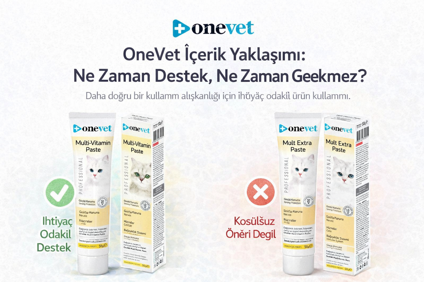 OneVet Blog: Kedi Maltı Her Gün Verilir mi? Zararlı mıdır? Bilimsel