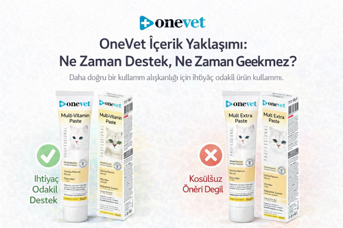 OneVet Blog: Kedi Maltı Her Gün Verilir mi? Zararlı mıdır? Bilimsel