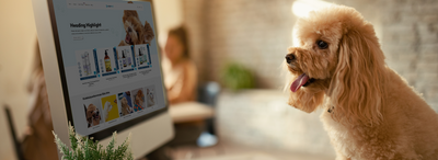 Köpeklerde Glukozamin Faydaları