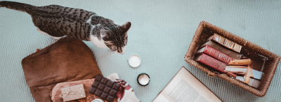 Fonksiyonel Kedi Takviyeleri ve Vitaminleri