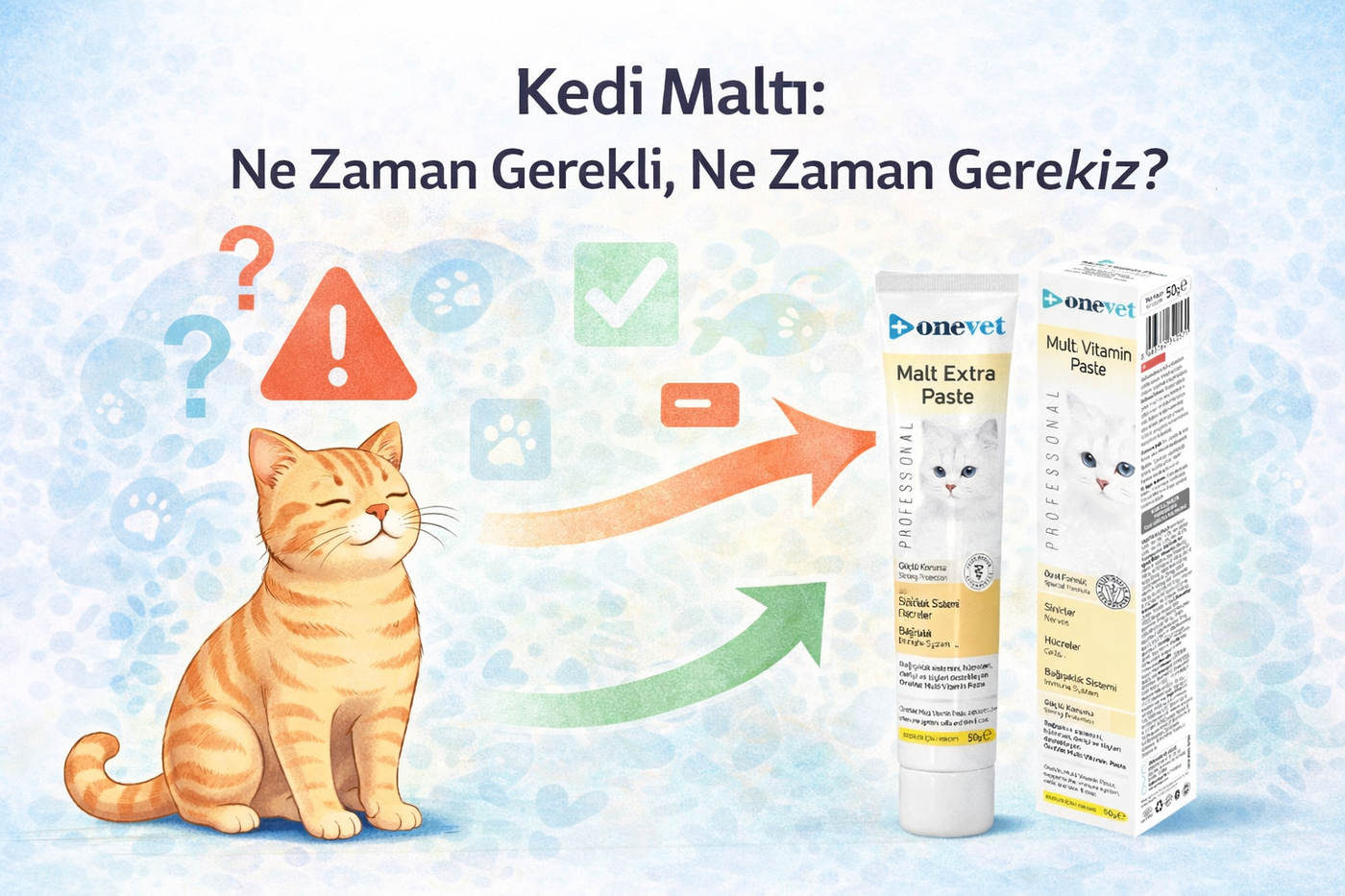 OneVet Blog: Kedi Maltı: Ne Zaman Gerekli, Ne Zaman Gereksiz?