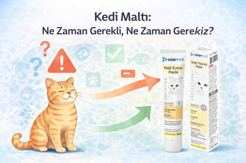 OneVet Blog: Kedi Maltı: Ne Zaman Gerekli, Ne Zaman Gereksiz?