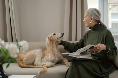 Yaşlı kadın kanepede Saluki köpeğiyle birlikte huzur içinde dinleniyor — yaşlı köpek bakımı