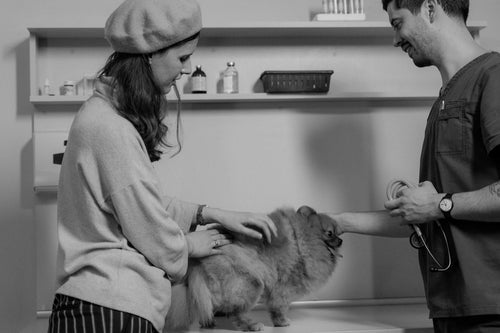 Köpek sahibi ve veteriner hekim klinikte konsültasyon — köpek aşı maliyet planlaması