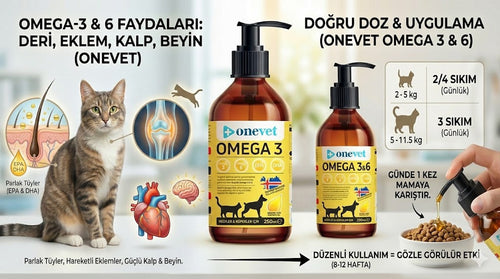 OneVet Blog: Kedilerde Omega-3 Kullanımı: Doğru Doz ve Gözlemlenebilir Etkiler