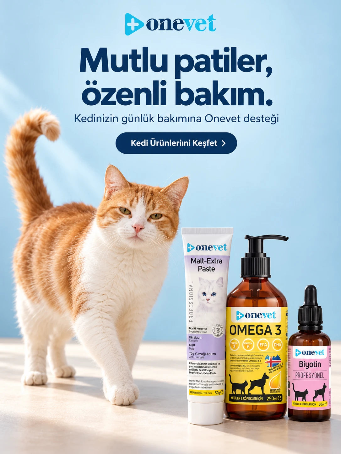 Mutlu patiler, özenli bakım — Kedinizin günlük bakımına Onevet desteği