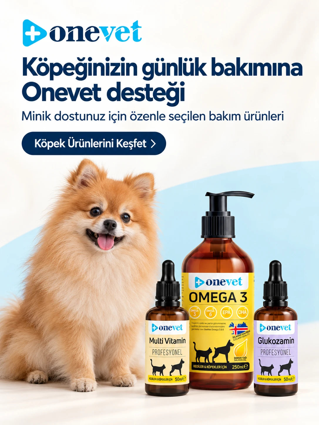 Köpeğinizin günlük bakımına Onevet desteği