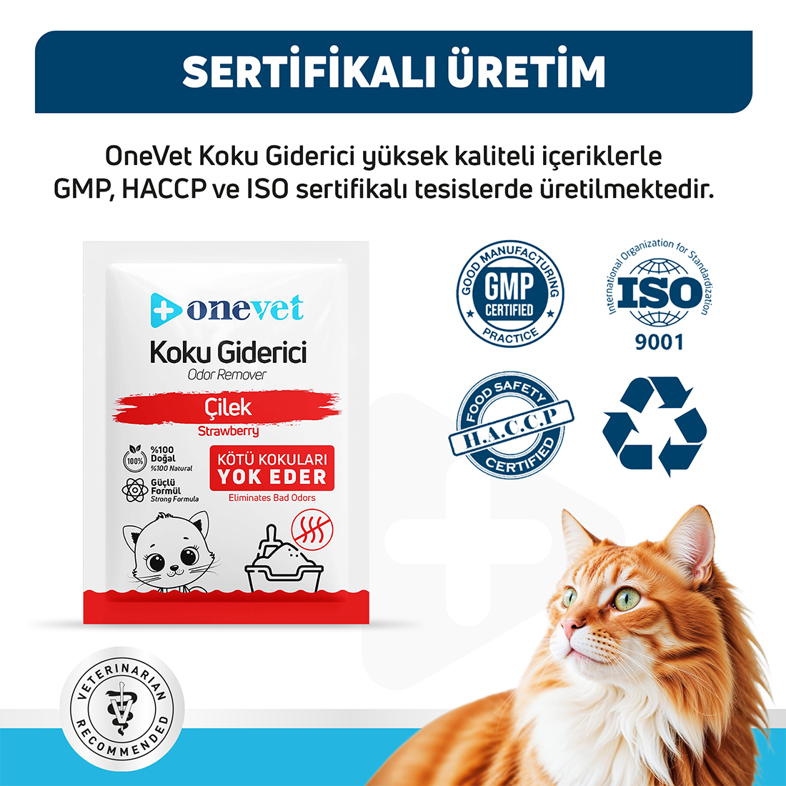 OneVet Kedi Kumu Koku Giderici
