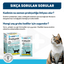 OneVet Sindirim ve Bağışıklık Güçlendirici Kediler için Probiyotik Saşe