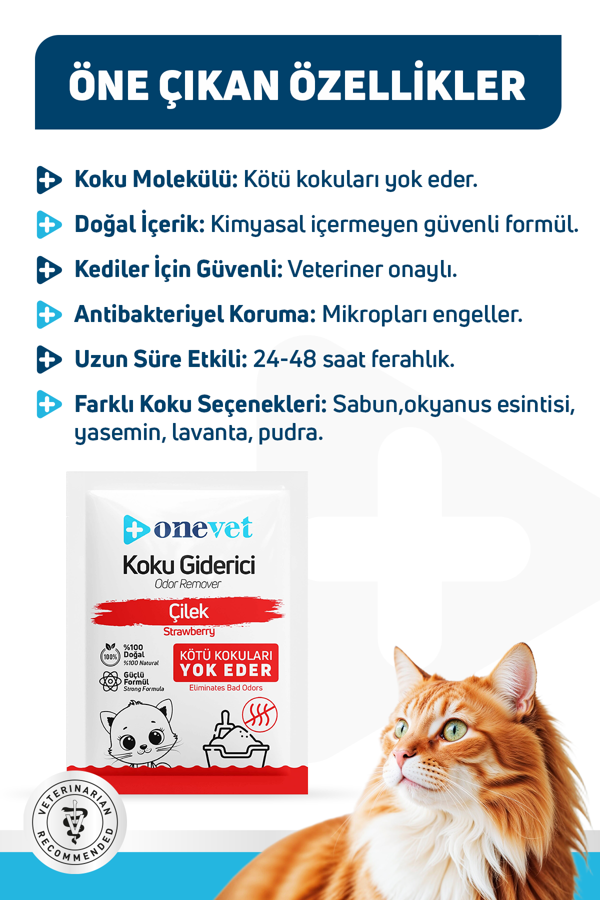 OneVet Kedi Kumu Koku Giderici