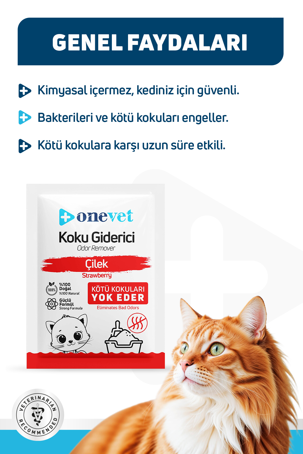 OneVet Kedi Kumu Koku Giderici