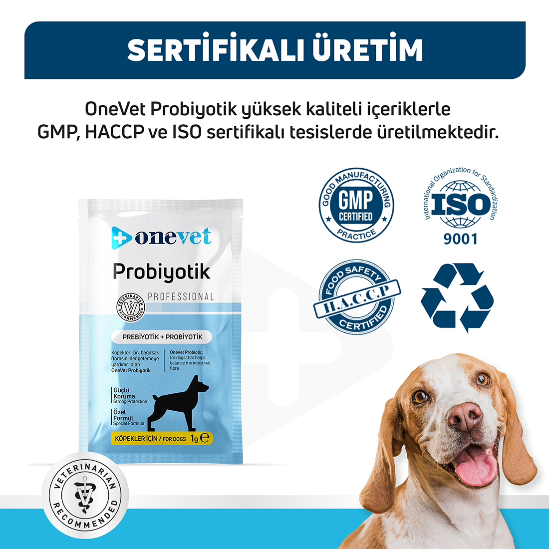 OneVet Sindirim ve Bağışıklık Güçlendirici Köpekler için Probiyotik Saşe