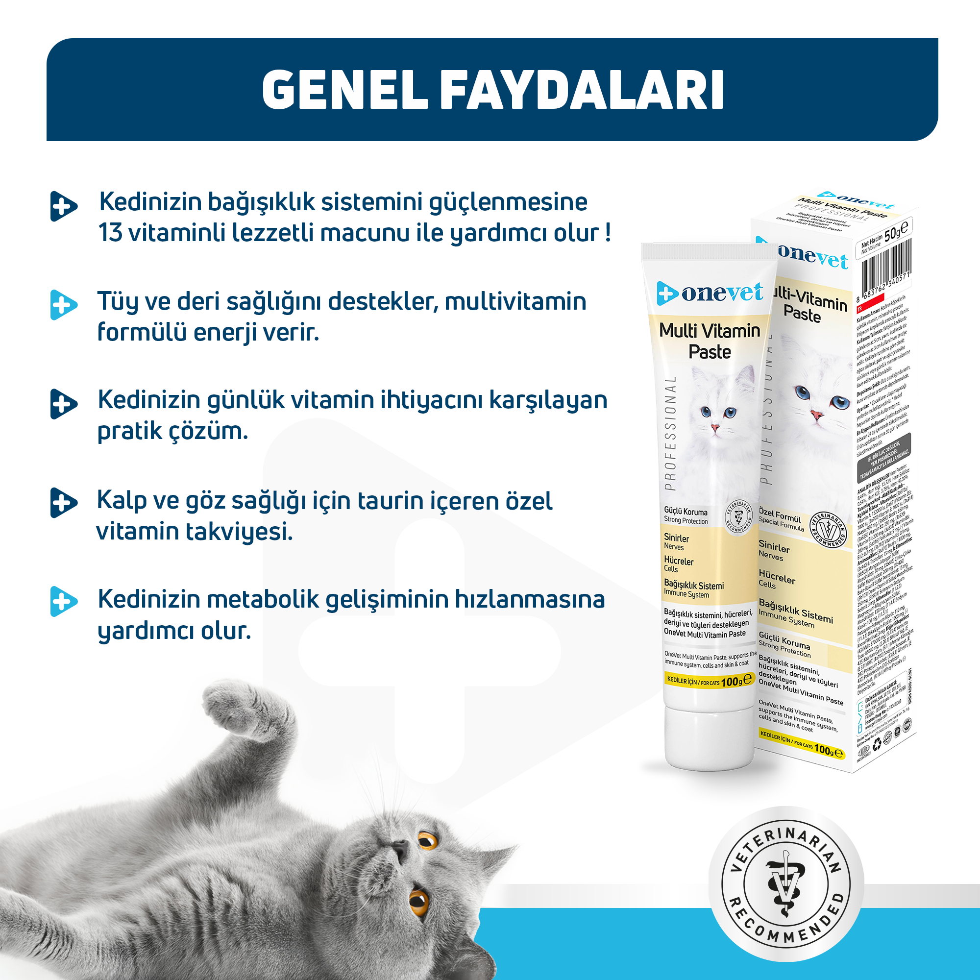 OneVet Multi Vitamin Paste Bağışıklık Destekleyici Kedi Maltı 100 Gr