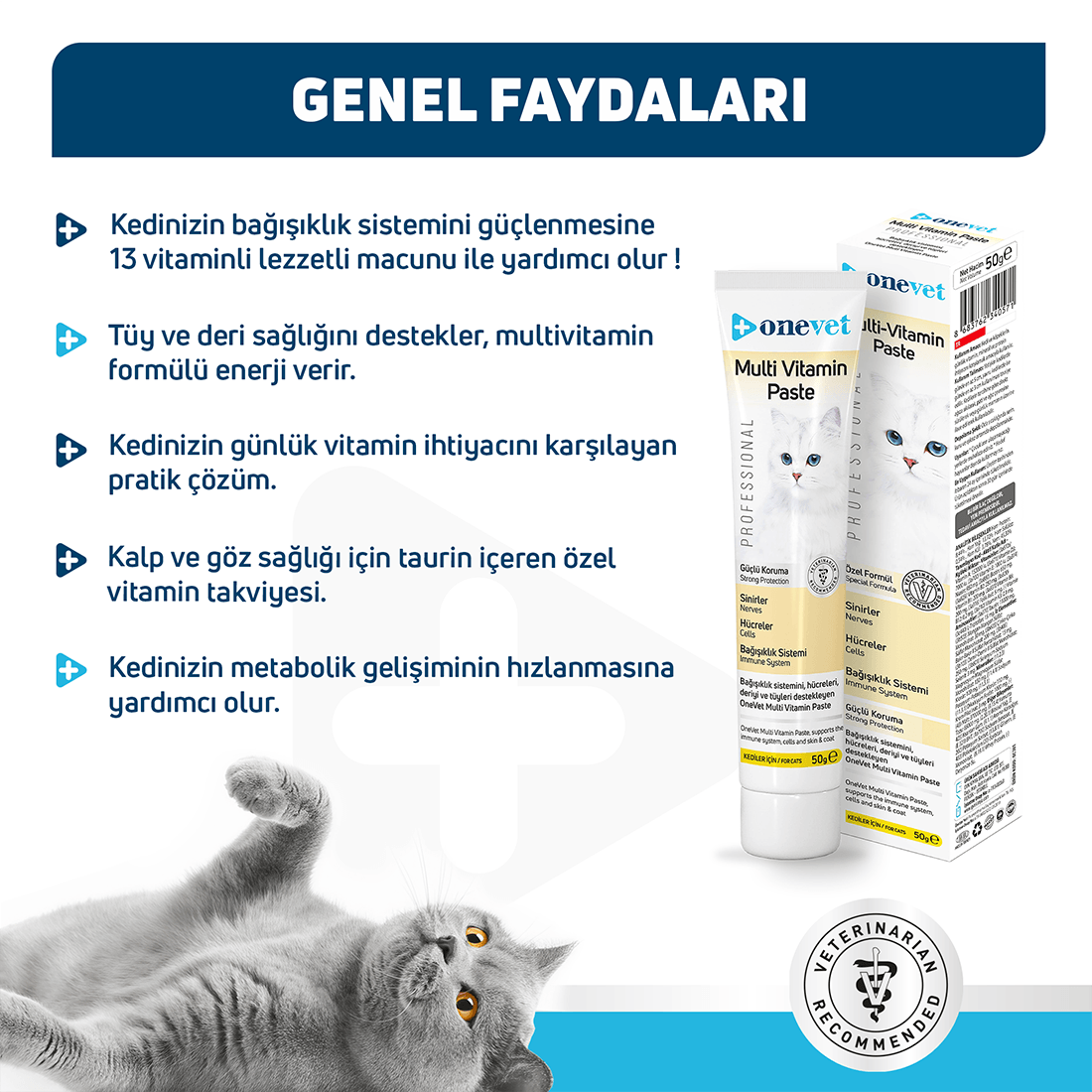 OneVet Multi Vitamin Macun Bağışıklık Güçlendirici Kedi Malt Paste