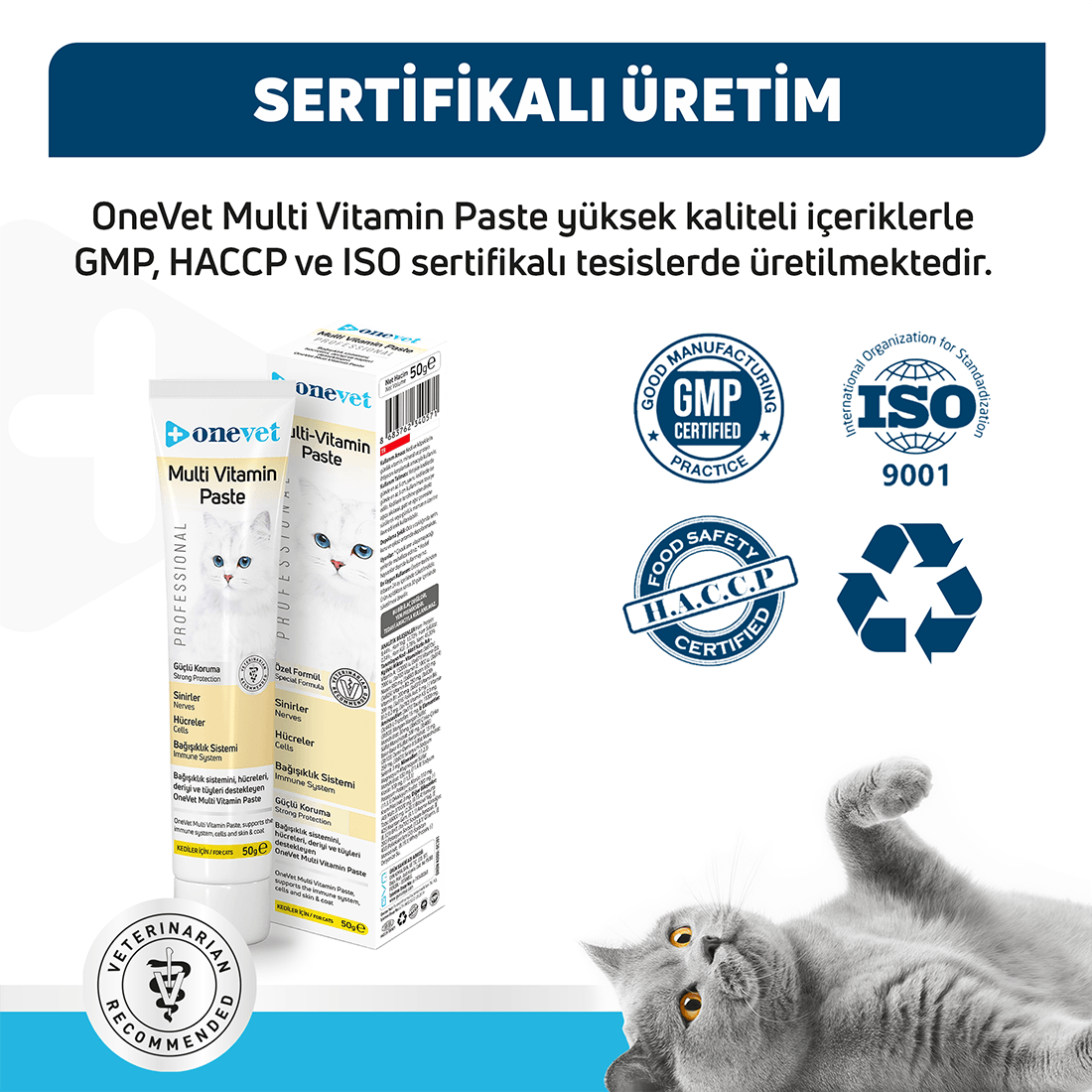 OneVet Multi Vitamin Macun Bağışıklık Güçlendirici Kedi Malt Paste