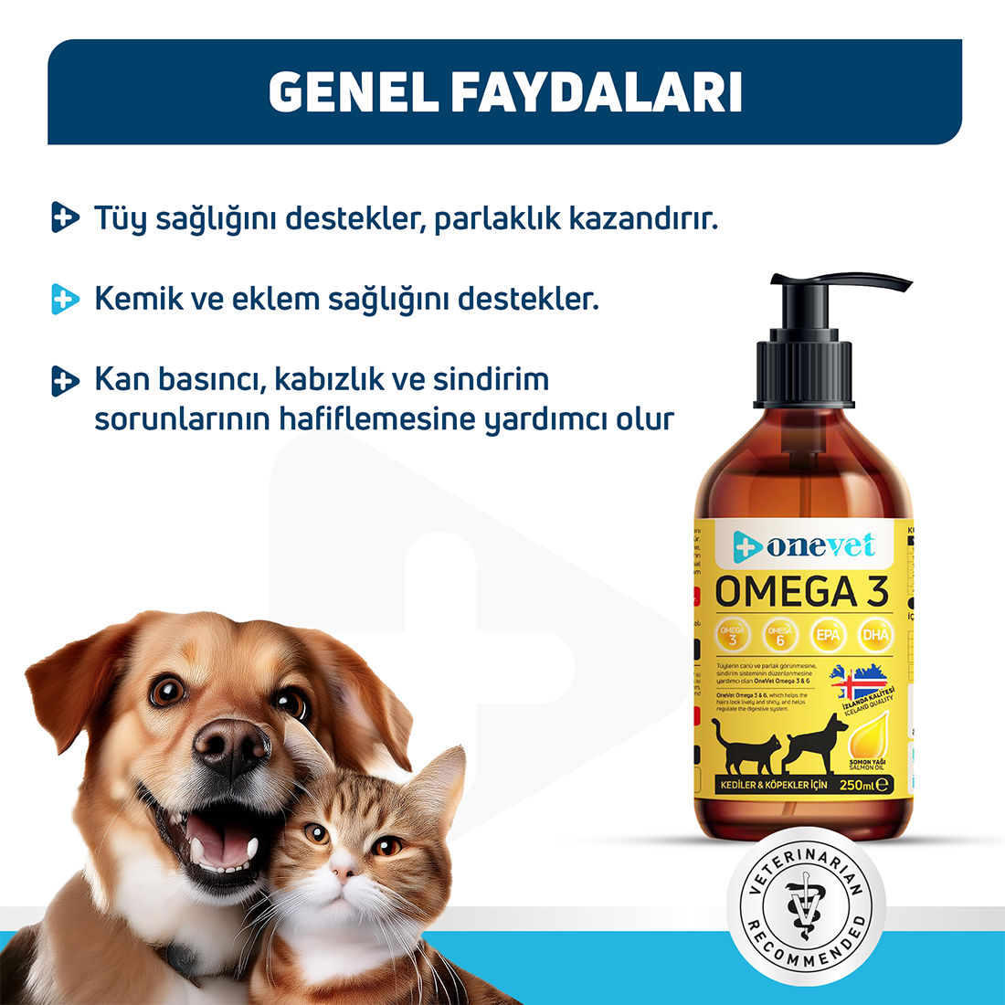 OneVet Omega 3 Kedi ve Köpekler İçin Deri ve Tüy Sağlığı Destekleyici Balık Yağı 250 ml