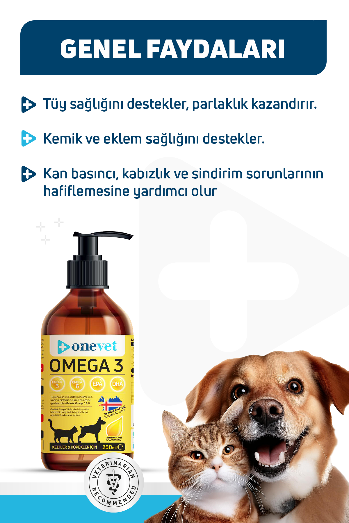 OneVet Omega 3 Balık Yağı 250 Ml Kedi ve Köpekler İçin Bağışıklık Destekleyici Fish Oil