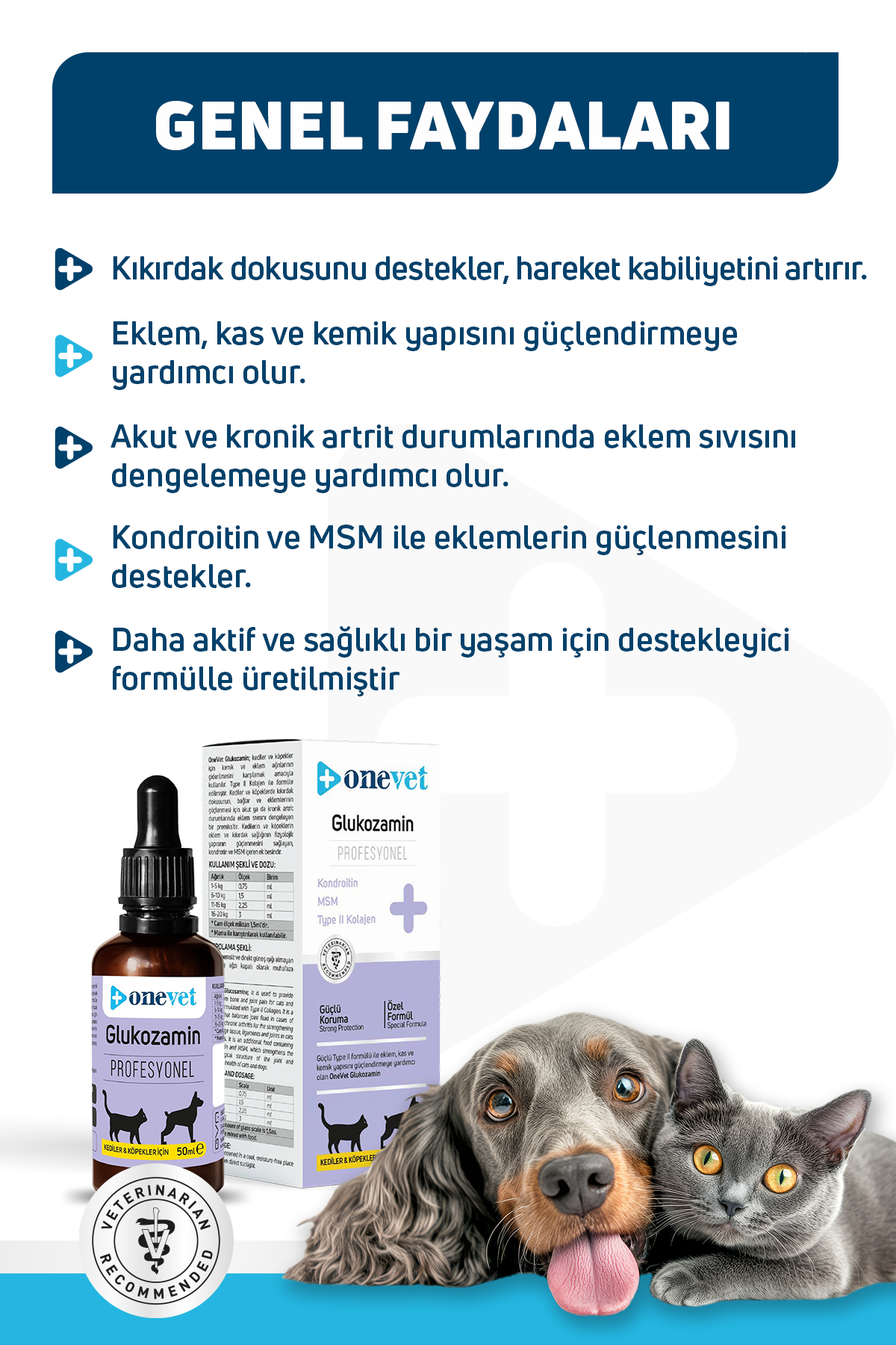 OneVet Glukozamin Kedi ve Köpekler İçin Eklem ve Kıkırdak Sağlığı Destekleyici Damla