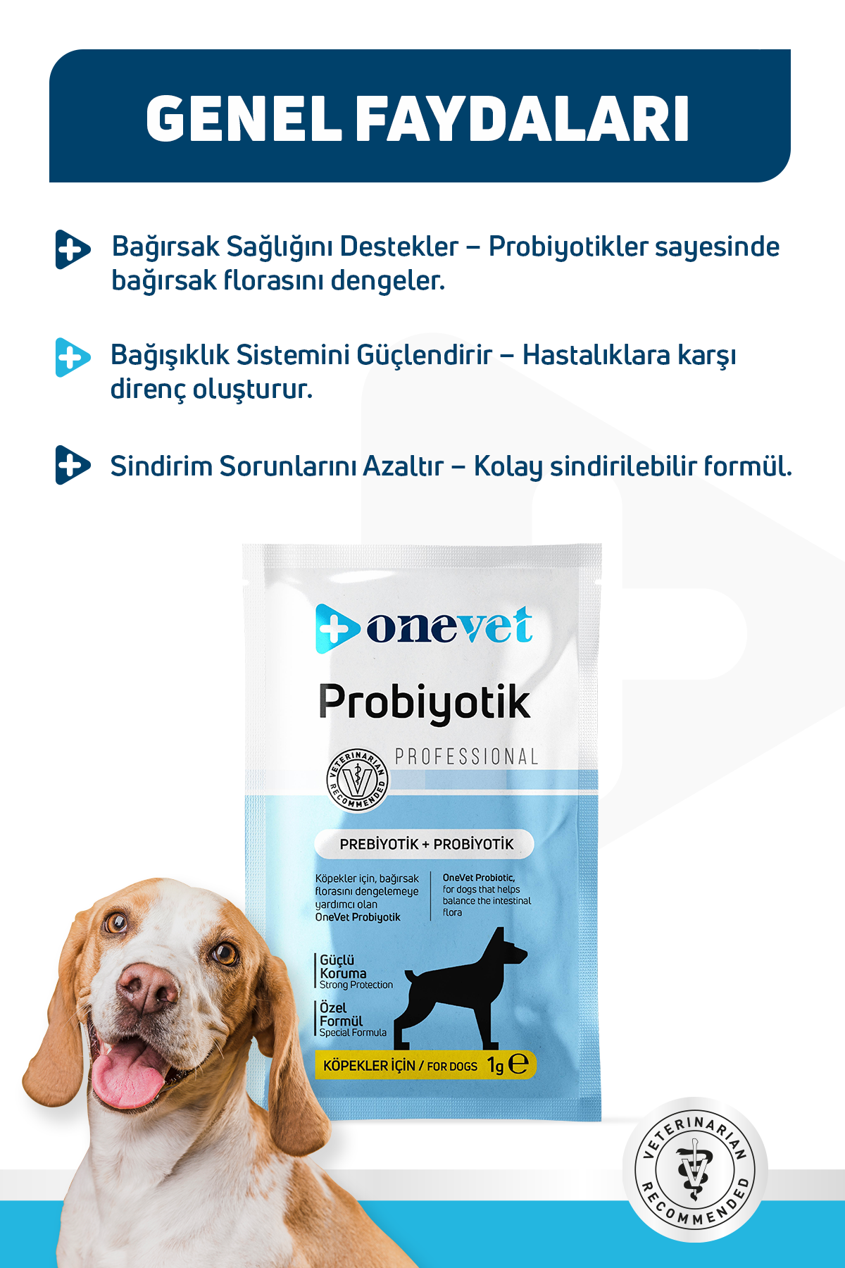 Sindirim ve Bağışıklık Güçlendirici Köpekler için Probiyotik Saşe