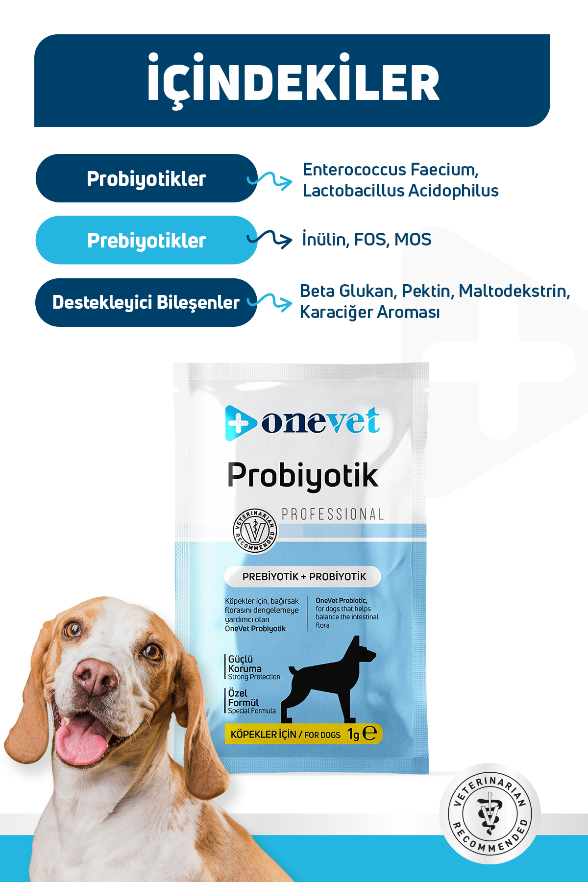 Sindirim ve Bağışıklık Güçlendirici Köpekler için Probiyotik Saşe