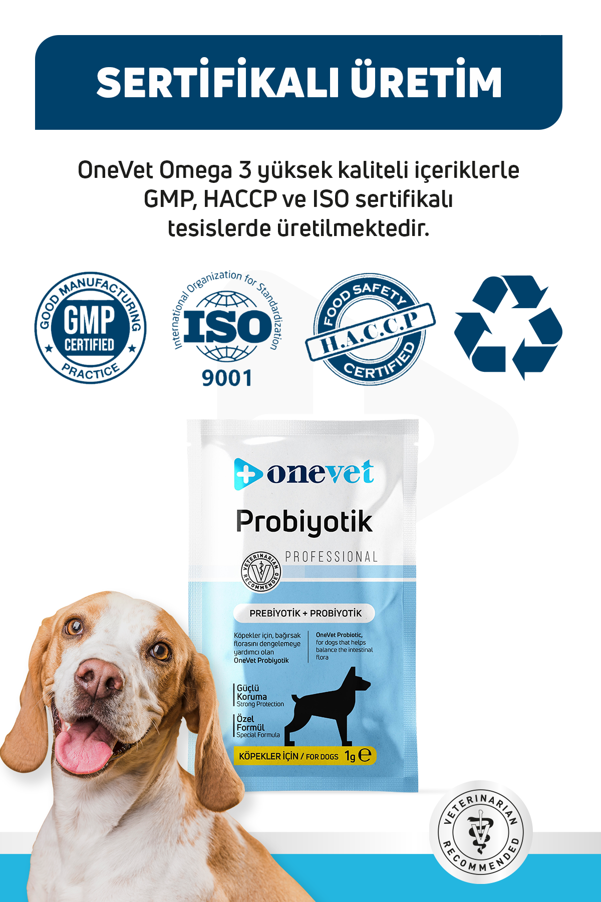 Sindirim ve Bağışıklık Güçlendirici Köpekler için Probiyotik Saşe