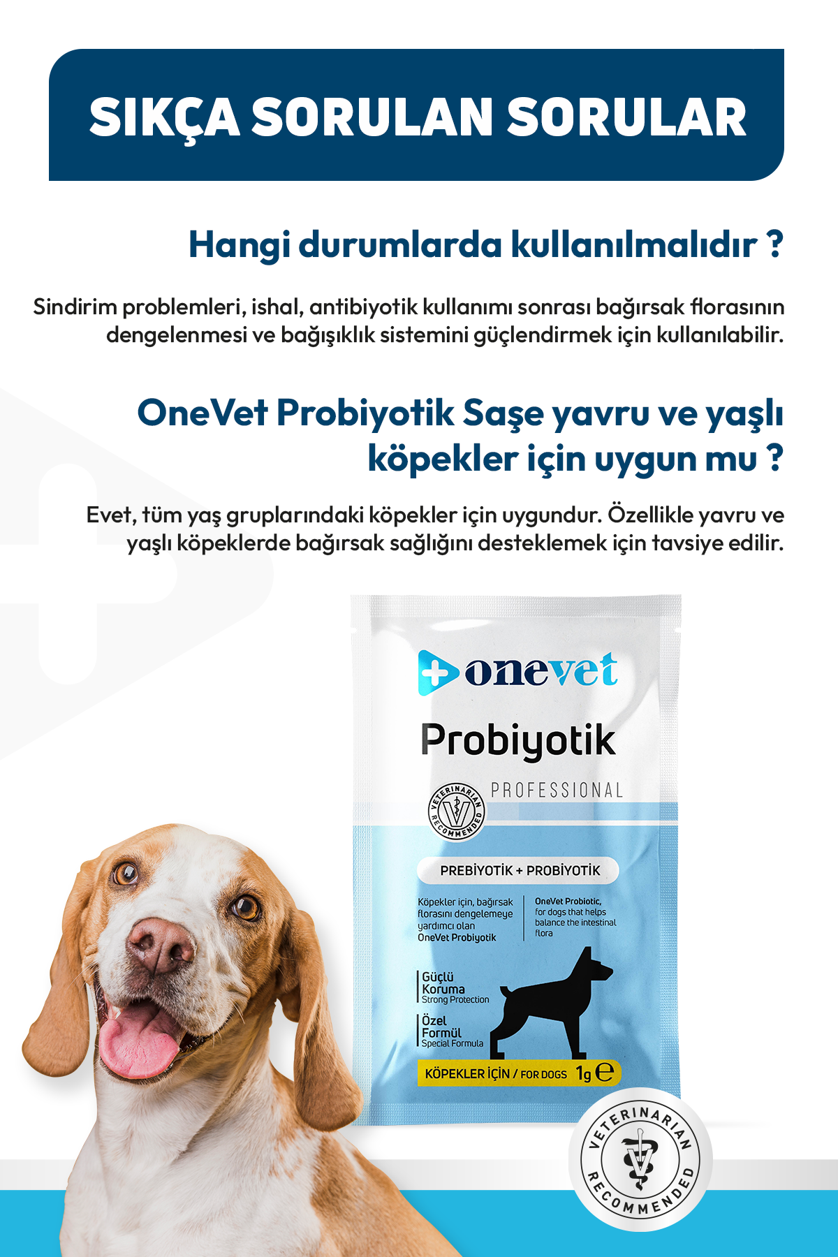 Sindirim ve Bağışıklık Güçlendirici Köpekler için Probiyotik Saşe