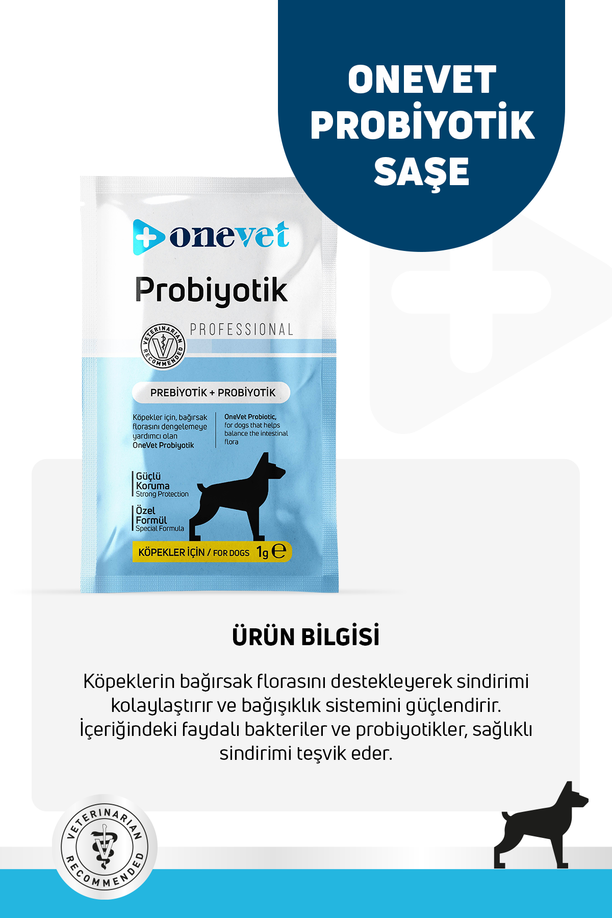 Sindirim ve Bağışıklık Güçlendirici Köpekler için Probiyotik Saşe