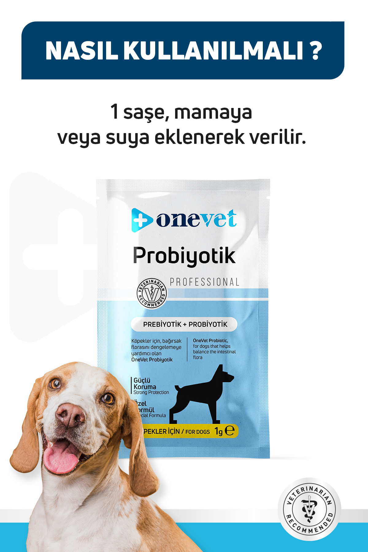 Sindirim ve Bağışıklık Güçlendirici Köpekler için Probiyotik Saşe