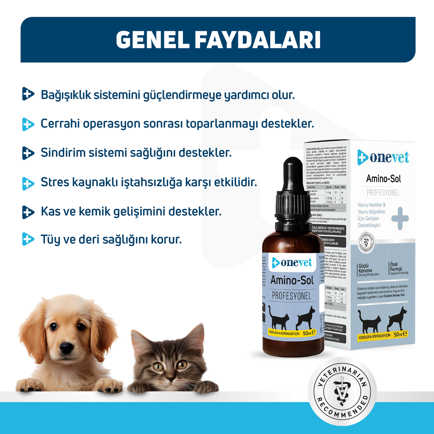 OneVet Amino-Sol Kedi Ve Köpekler Için Gelişim Destekleyici Damla 50 ml