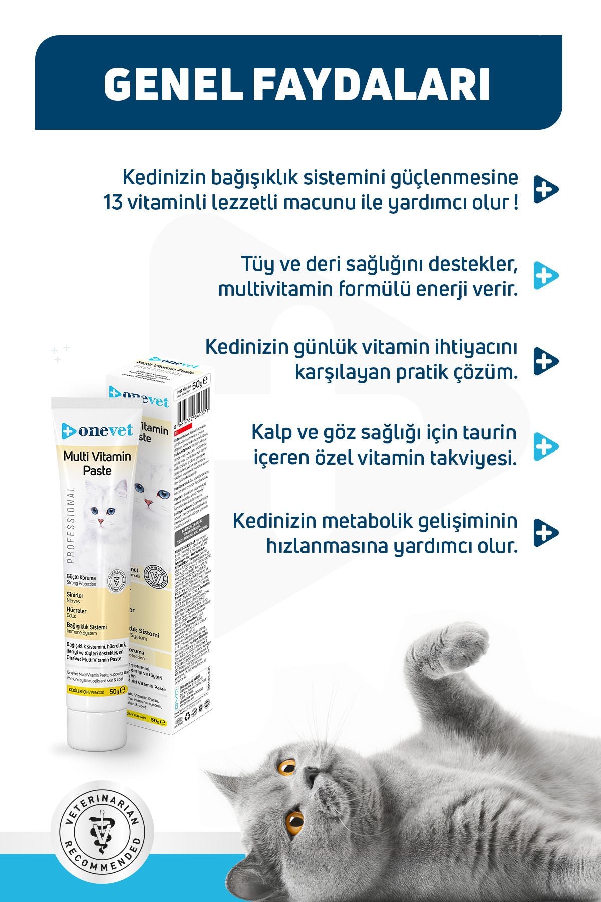 OneVet Multi Vitamin Paste Bağışıklık Destekleyici Kedi Maltı