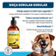 OneVet Omega 3 Kedi Ve Köpekler Için Bağışıklık Destekleyici Balık Yağı 250 ml