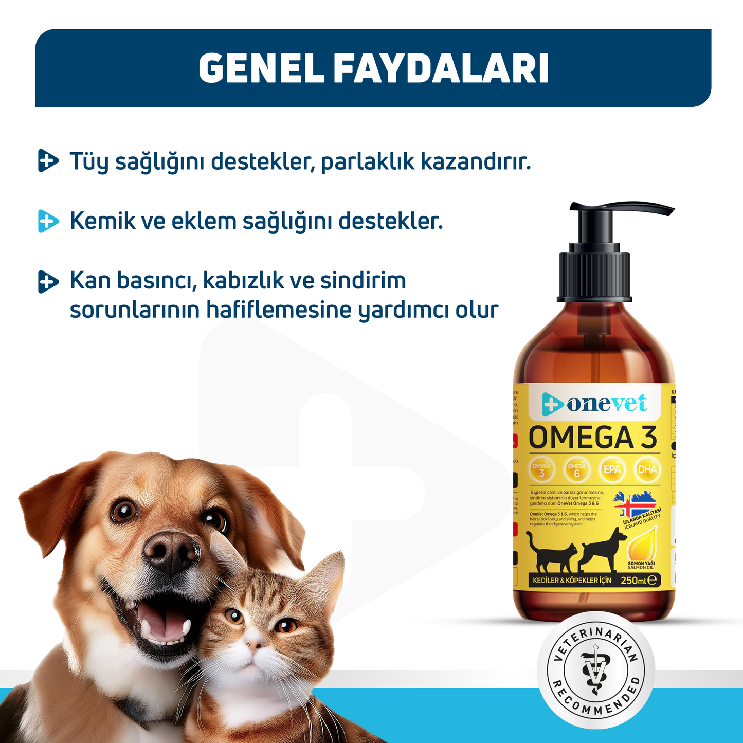 OneVet Omega 3 Kedi Ve Köpekler Için Bağışıklık Destekleyici Balık Yağı 250 ml