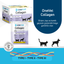 OneVet Collagen Şase 30x3 gr Kedi Ve Köpekler İçin Kolajen Eklem, Kas Ve Kemik Güçlendirmeye Yardımcı