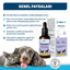OneVet Glukozamin Kedi Ve Köpekler Için Eklem Ve Kıkırdak Sağlığı Destekleyici Damla 50 ml