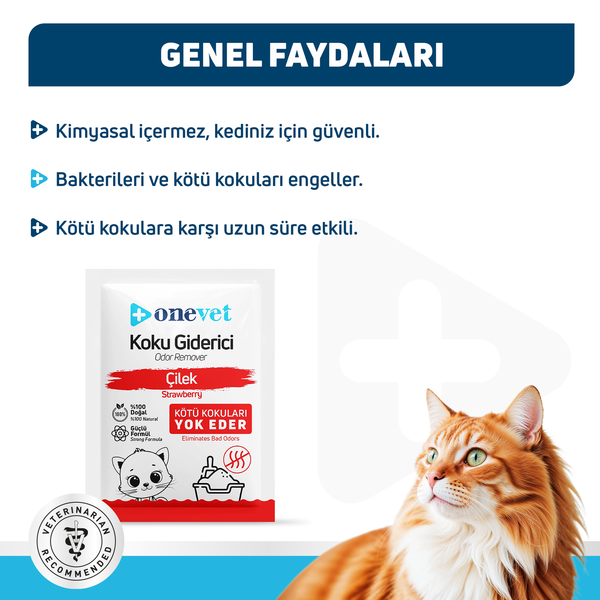 OneVet Kedi Kumu Koku Giderici Saşe