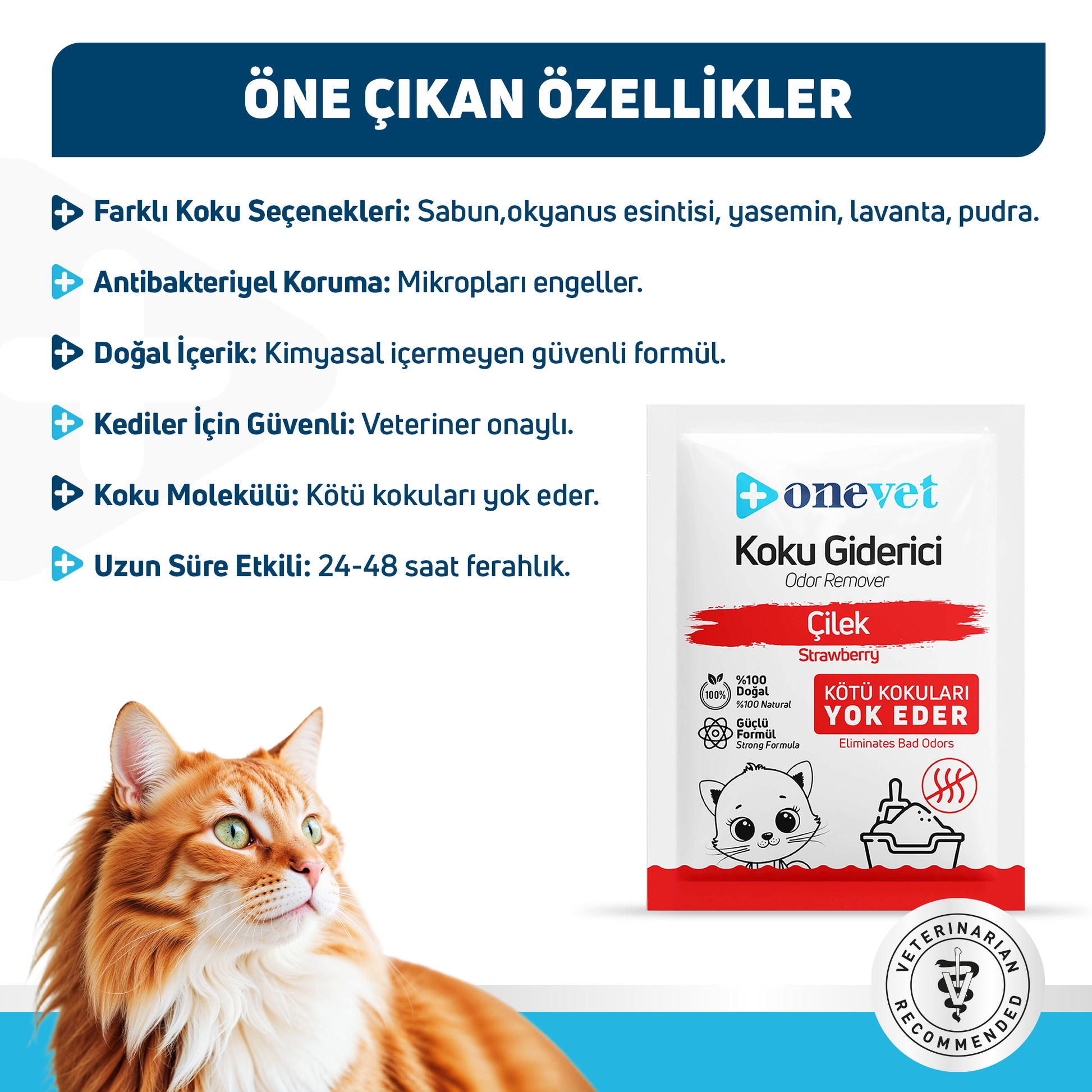 OneVet Kedi Kumu Koku Giderici Saşe