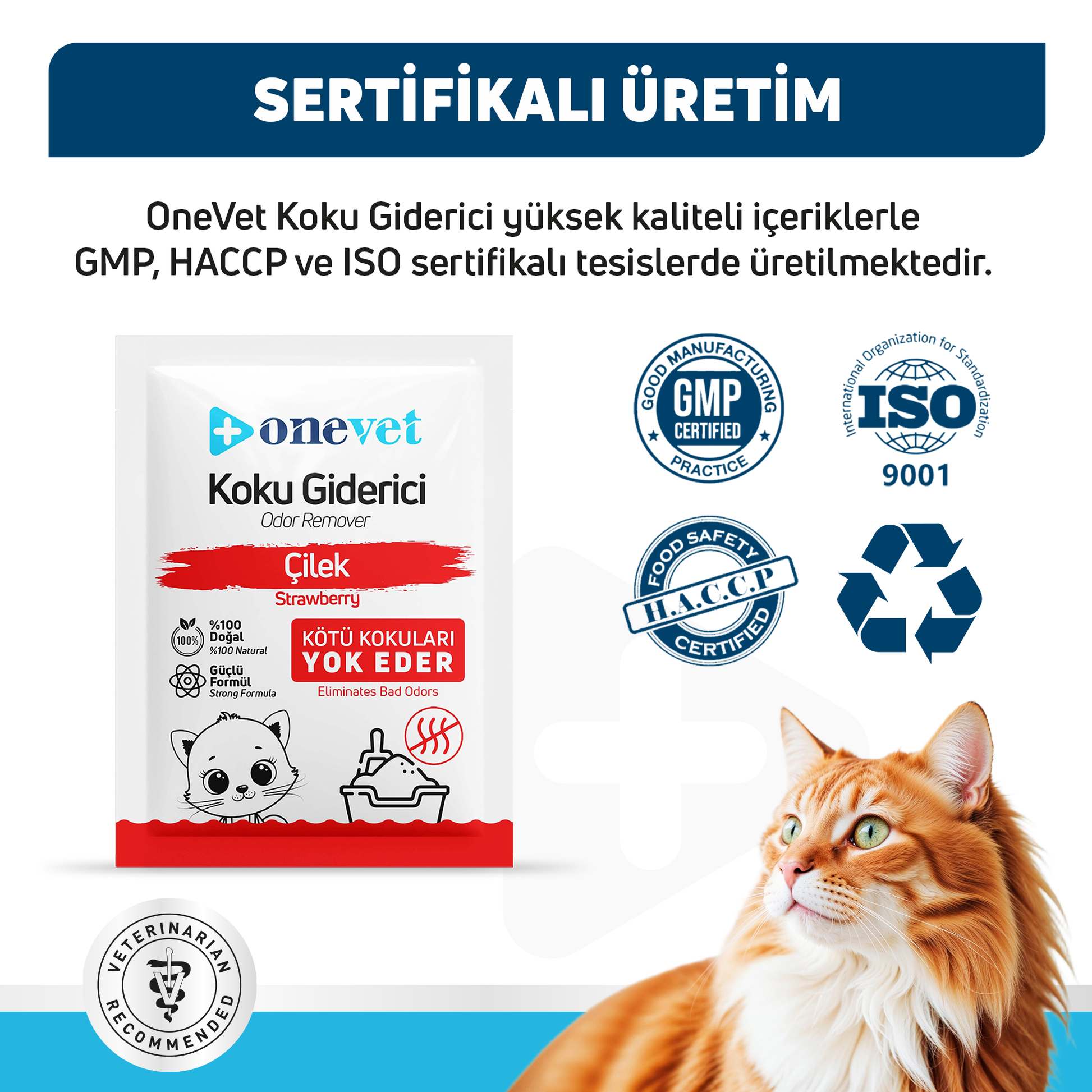 OneVet Kedi Kumu Koku Giderici Saşe