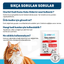 OneVet Kedi Kumu Koku Giderici Saşe