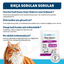 OneVet Kedi Kumu Koku Giderici Saşe