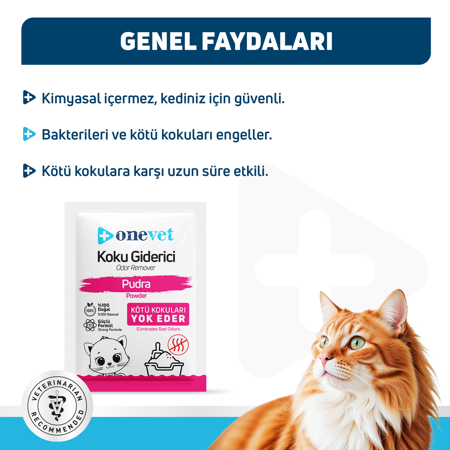 OneVet Kedi Kumu Koku Giderici Saşe