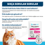 OneVet Kedi Kumu Koku Giderici Saşe