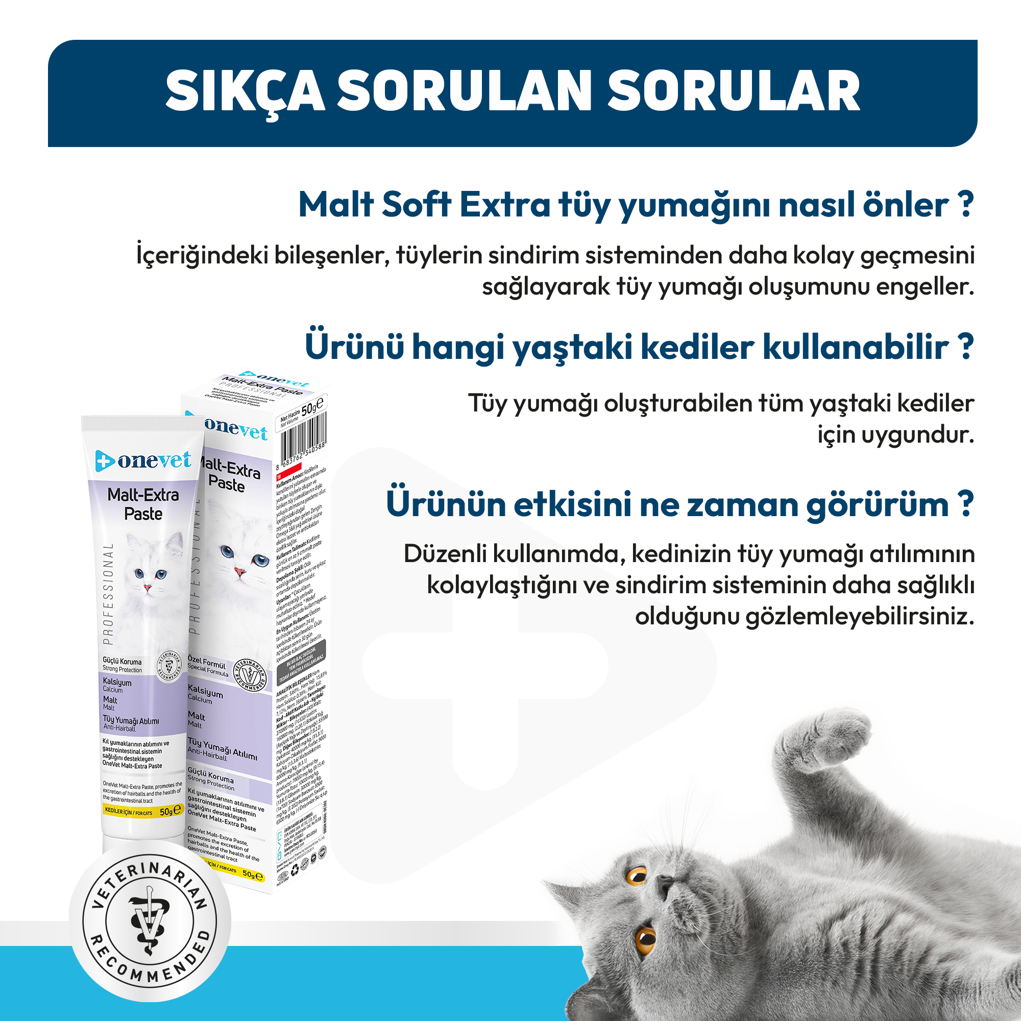 OneVet Malt Extra Paste Tüy Yumağı Önleyici Kedi Maltı 50 Gr