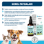 OneVet Prebiotik Damla Kedi ve Köpekler İçin Sindirim ve Bağışıklık Güçlendirici 50 ml