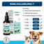 OneVet Prebiotik Damla Kedi ve Köpekler İçin Sindirim ve Bağışıklık Güçlendirici 50 ml