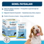 OneVet Probiyotik Şase Köpekler Için Sindirim Ve Bağışıklık Desteği Takviye Vitamini 30x1gr